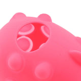 Pet Waste Bag Dispenser with Carabiner Storage Portable Dog Poop Bag Holder Pink - Aladdin Shoppers