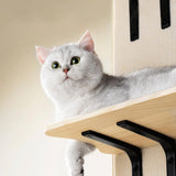 Four levels Versatile Cat Climber Pet Climbing Frame Platform Pet Supply Indoor - Aladdin Shoppers