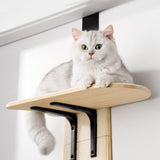 Four levels Versatile Cat Climber Pet Climbing Frame Platform Pet Supply Indoor - Aladdin Shoppers