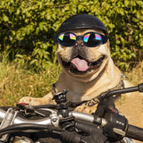 Dog Sunglasses Costume Accessories for Walking Outdoor Photo Props Black - Aladdin Shoppers