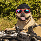 Dog Sunglasses Costume Accessories for Walking Outdoor Photo Props Red - Aladdin Shoppers