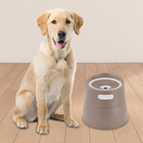 Cat Water Fountain Feeding Station Raised Cat Bowl for Dogs Cats Travel Brown - Aladdin Shoppers