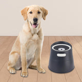 Cat Water Fountain Feeding Station Raised Cat Bowl for Dogs Cats Travel Blue - Aladdin Shoppers