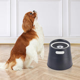 Cat Water Fountain Feeding Station Raised Cat Bowl for Dogs Cats Travel Blue - Aladdin Shoppers