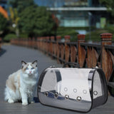 Cat Carrier Zipper Closure Pet Handbag Folding for Camping Walking Shopping Black S - Aladdin Shoppers