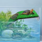 Turtle Resting Basking Platform for Frog Semi Aquatic Animals Small Reptiles L