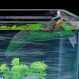 Turtle Resting Basking Platform for Frog Semi Aquatic Animals Small Reptiles L