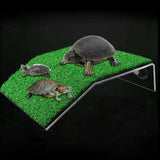 Turtle Resting Basking Platform for Frog Semi Aquatic Animals Small Reptiles L