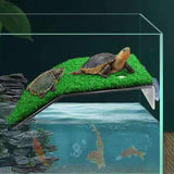 Turtle Resting Basking Platform for Frog Semi Aquatic Animals Small Reptiles L