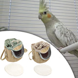 Bird Carrier Bag Travel Shoulder Bag for Parakeets Budgerigars Small Parrots Light Green