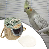 Bird Carrier Bag Travel Shoulder Bag for Parakeets Budgerigars Small Parrots Light Green