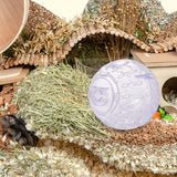 Cute Gerbil Hamster Jogging Fitness Ball Cage Toy for Sport Reducing Boredom Violet