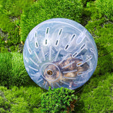Cute Gerbil Hamster Jogging Fitness Ball Cage Toy for Sport Reducing Boredom Violet