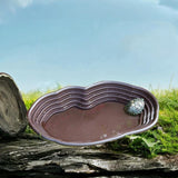 Maxbell Maxbell Reptile Feeding Water Bowl Reptile Feeding Dish for Frogs Pet Supplies Gecko no drainage