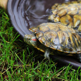 Maxbell Maxbell Reptile Feeding Water Bowl Reptile Feeding Dish for Frogs Pet Supplies Gecko no drainage