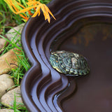 Maxbell Maxbell Reptile Feeding Water Bowl Reptile Feeding Dish for Frogs Pet Supplies Gecko no drainage