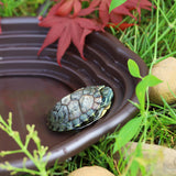 Maxbell Maxbell Reptile Feeding Water Bowl Reptile Feeding Dish for Frogs Pet Supplies Gecko no drainage