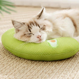 Pet Cat Pillow Washable Interactive Toy Cute Animal Pillow for Dog Cat Puppy Green Avocado