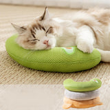 Pet Cat Pillow Washable Interactive Toy Cute Animal Pillow for Dog Cat Puppy Green Avocado