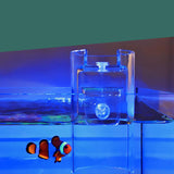 Maxbell Maxbell Betta Feeding Ring Sturdy Floating Foods Feeder for Aquarium Prawn Fish Tank