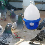 Maxbell Maxbell Pigeon Drinker Pet Supplies Drinker Dispenser for Lovebirds Chicken Pigeon