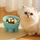 Maxbell Maxbell Tilted Cat Food Bowl Slanted Waterer and Feeder for Indoor Cats Puppy Kitten Blue
