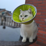 Maxbell Maxbell Cat Cone Collar Cat Neck Circle Cat Collar for Beauty Trimming Bathing Puppy M