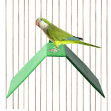 Maxbell Maxbell 5 Pieces Pigeon Rest Stand Bird Standing Rack for Training Lovebirds Pigeons green
