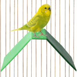 Maxbell Maxbell 5 Pieces Pigeon Rest Stand Bird Standing Rack for Training Lovebirds Pigeons green