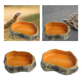 Maxbell Maxbell Reptile Water Bowl Decorative Resin Lizards Habitat for Turtle Gecko Hamster small
