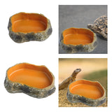 Maxbell Maxbell Reptile Water Bowl Decorative Resin Lizards Habitat for Turtle Gecko Hamster small