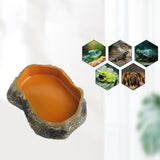Maxbell Maxbell Reptile Water Bowl Decorative Resin Lizards Habitat for Turtle Gecko Hamster small