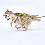 Maxbell Maxbell Dog Weight Pulling Harness Sled Harness Sturdy for Skijoring Bike Joring Black XL