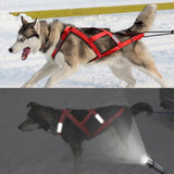 Maxbell Maxbell Dog Weight Pulling Harness Sled Harness Sturdy for Skijoring Bike Joring Black XL