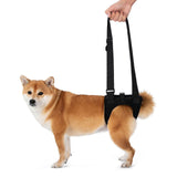 Maxbell Dog Carry Walking Auxiliary Belt Dog Walking Auxiliary Belt for Medium Large Dogs for Senior Dogs Elderly Dogs S black