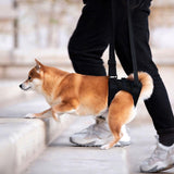 Maxbell Dog Carry Walking Auxiliary Belt Dog Walking Auxiliary Belt for Medium Large Dogs for Senior Dogs Elderly Dogs S black