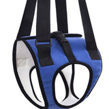 Maxbell Dog Carry Walking Auxiliary Belt Dog Walking Auxiliary Belt for Medium Large Dogs for Senior Dogs Elderly Dogs S blue