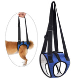 Maxbell Dog Carry Walking Auxiliary Belt Dog Walking Auxiliary Belt for Medium Large Dogs for Senior Dogs Elderly Dogs S blue