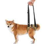 Maxbell Dog Carry Walking Auxiliary Belt Dog Walking Auxiliary Belt for Medium Large Dogs for Senior Dogs Elderly Dogs S beige