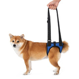 Maxbell Dog Carry Walking Auxiliary Belt Dog Walking Auxiliary Belt for Medium Large Dogs for Senior Dogs Elderly Dogs L blue