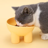 Maxbell Raised Cat Bowl Protect Pet's Spine Non Slip Pet Feeding Dish Food Container pink