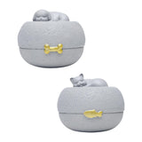 Maxbell Pet Urn Cremation Memorial Urn Sympathy Souvenir Supplies Cinerary Casket