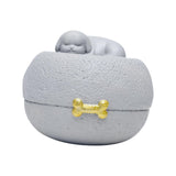 Maxbell Pet Urn Cremation Memorial Urn Sympathy Souvenir Supplies Cinerary Casket