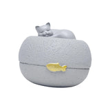 Maxbell Pet Urn Cremation Memorial Urn Sympathy Souvenir Supplies Cinerary Casket