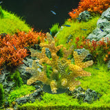 Maxbell Artificial Coral Figurine Sculpture Home Decor Aquarium Decoration for Table yellow