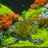 Maxbell Artificial Coral Figurine Sculpture Home Decor Aquarium Decoration for Table green