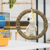 Maxbell Maxbell Bird Swing Stand Parrot Climbing Toy for Cockatiel Lovebird Budgies