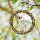 Maxbell Maxbell Bird Swing Stand Parrot Climbing Toy for Cockatiel Lovebird Budgies