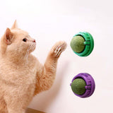 Maxbell Catnip Ball Rotating Kitten Chew Toys Cat Snacks Edible Catnip Ball for Cats