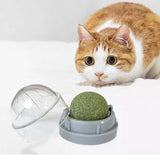 Maxbell Catnip Ball Rotating Kitten Chew Toys Cat Snacks Edible Catnip Ball for Cats